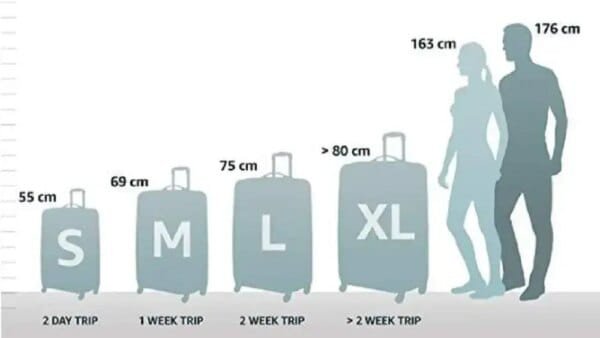 Valise Samsonite S'Cure Spinner XL - Image 5