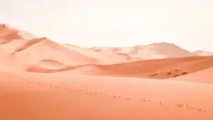 Dunes de sable dans le désert